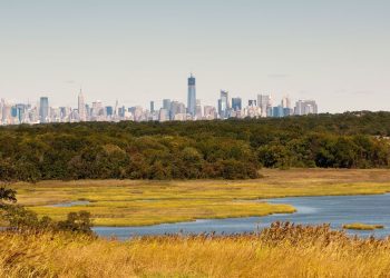 From environmental disaster to public park: Exploring Staten Island’s Freshkills