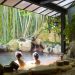 What to do when visiting an onsen in Japan