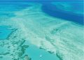How travelers can help protect the Great Barrier Reef’s corals