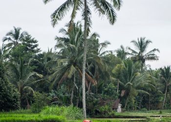 Hiking the Astungkara Way, the trail offering a fresh perspective on Bali