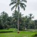 Hiking the Astungkara Way, the trail offering a fresh perspective on Bali