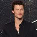 Shawn Mendes Seemingly Addresses Speculation About His Sexuality in New Song ‘The Mountain’