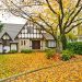 The Only Rake You’ll Ever Need, According to a Lawn Pro with 20 Years of Experience