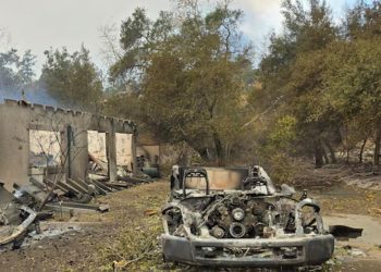 The Impact of Los Angeles Wildfires on Education and Natural Sanctuaries