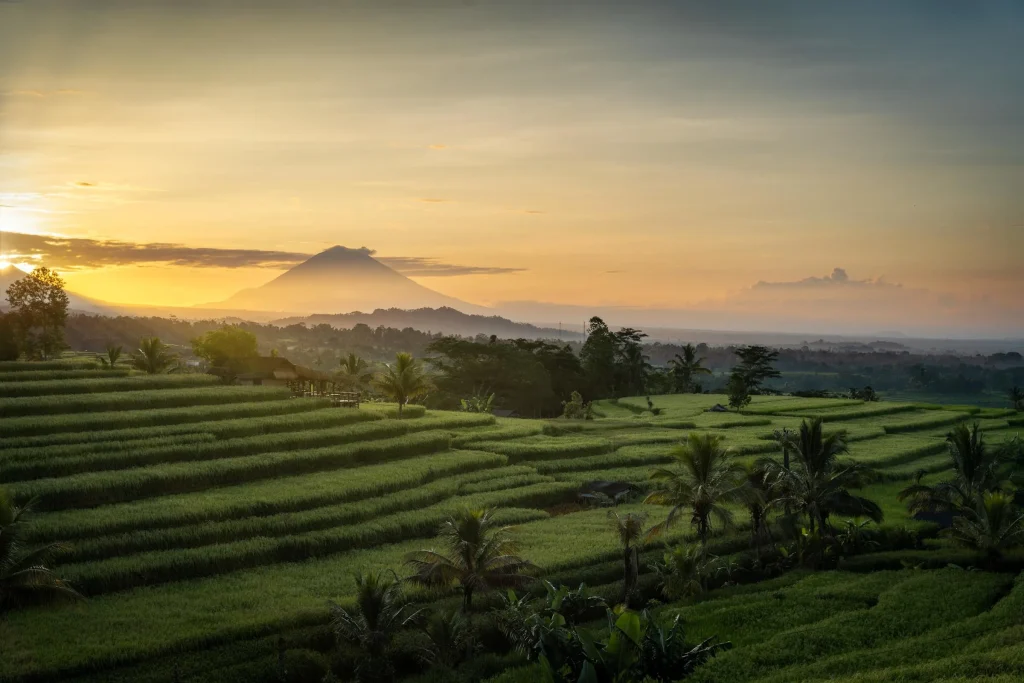 THE 10 BEST Digital Detox Retreats in Indonesia January 2027