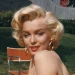 marilyn